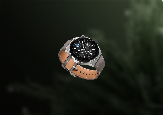 Explorer Watch