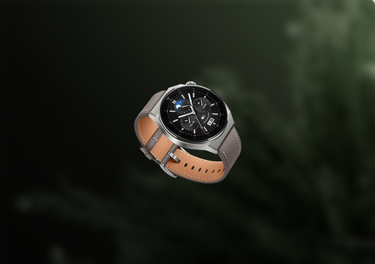 Explorer Watch