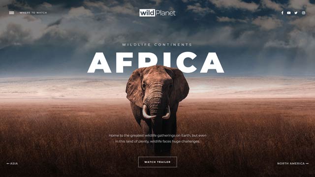 Cinematic Wildlife Template